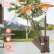 50000 BTU propane patio heater with round table design, brown finish, featuring tip-over and flame-out protection for.