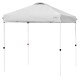 Gray 6.6 x 6.6 feet outdoor pop-up canopy tent with adjustable height, ideal for outdoor shade and activities.