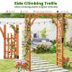 Garden archway trellis with classic bow-shaped header and double fastened lattice, perfect for climbing plants and.