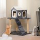 Two-level 36-inch cat tree with scratching posts, plush material, and a ladder for easy access, perfect for kittens.