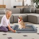 Orthopedic foam dog bed with removable cover, 3-sided bolster design, ideal for large dogs up to 80 lbs.