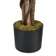 Close-up of the black cement base of a 4ft artificial ficus tree with realistic moss and hardwood trunk for indoor.