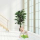 Artificial ficus tree with 504 leaves and realistic texture, perfect for home or office decor near windows.