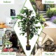 4-foot artificial ficus tree with 504 realistic leaves and a sturdy cement base, perfect for indoor or outdoor decor.