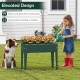 Elevated green metal gardening box with legs, ideal for growing flowers and herbs while preventing bending or kneeling.