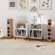 Record player stand in white with vinyl storage, charging station, and modern design for living room or office use.