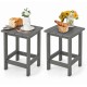 Set of 2 gray weather-resistant Adirondack side tables with slatted tops, perfect for outdoor use and easy maintenance.