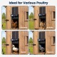 Solar powered automatic chicken coop door designed for various poultry, featuring anti-pinch function and clear display.