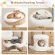 Cozy top perch and spacious condo of the solid wood cat tower with plush cushions for indoor cat relaxation.
