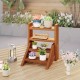 Solid wood plant stand with four tiers, showcasing potted plants, perfect for tabletops or windowsills.