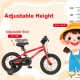 14-inch kids bike in red with adjustable seat, dual brake system, and removable training wheels for ages 3-8.