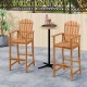 Tall Adirondack chairs with armrests and footrests made of acacia wood, ideal for patio and deck seating.