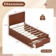 Twin size bed frame in walnut with headboard and storage drawers, featuring robust plywood slats for mattress support.