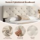 Modern tufted upholstered headboard in beige faux linen fabric with soft sponge cushioning for queen/full size beds.