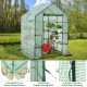Walk-in greenhouse with observation windows, made of PE material, featuring 8 shelves for plants and a roll-up zipper.