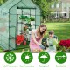 Walk-in greenhouse with breathable PE material, featuring observation windows and a spacious interior for various.