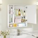 Wall mounted bathroom cabinet in white with mirror, featuring adjustable shelves and organized storage for toiletries.