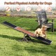 Wooden dog agility seesaw for outdoor play, crafted from spruce wood with high traction surface, ideal for training and.