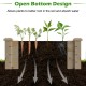 Open bottom design of the wooden vegetable raised garden bed enhances root growth and water absorption for healthy.
