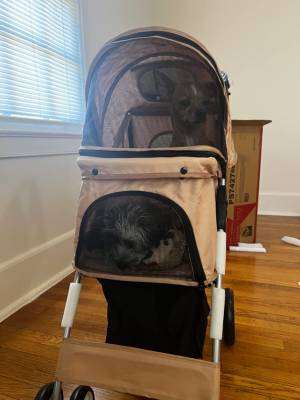 Customer Photos