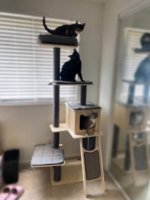 Customer Photos