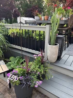 Customer Photos