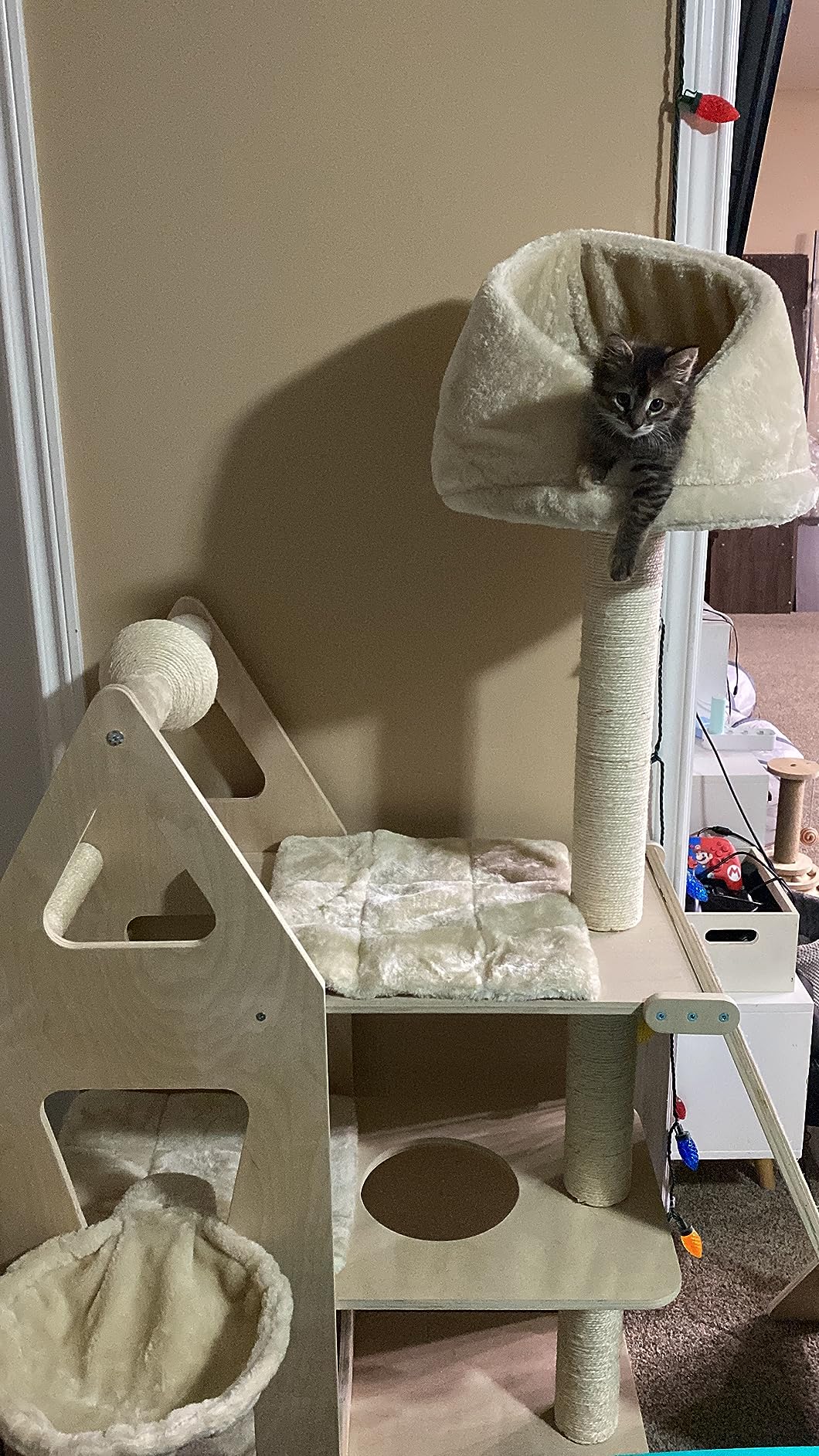 Customer Photos