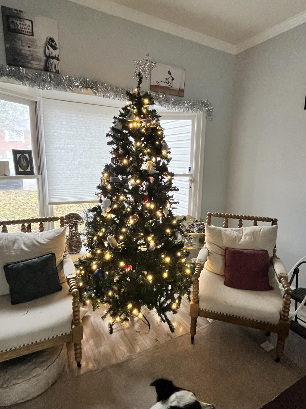 Customer Photos