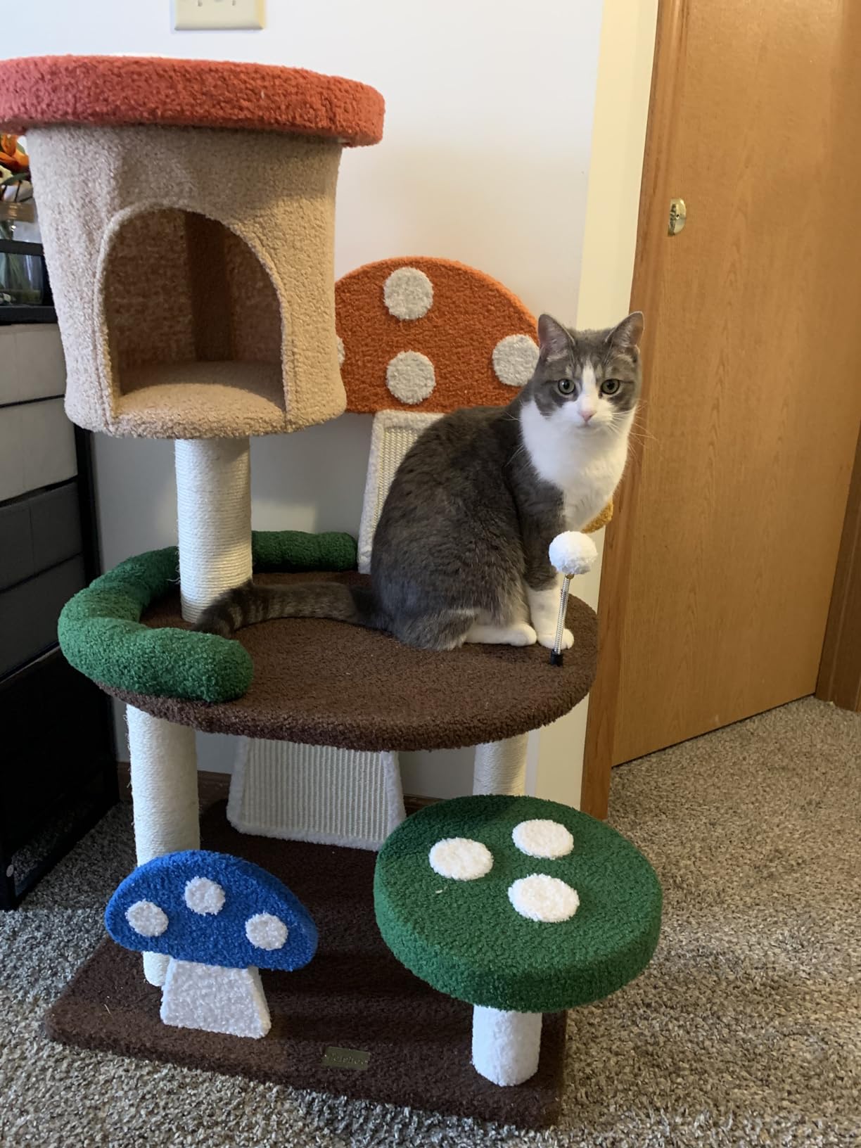 Customer Photos