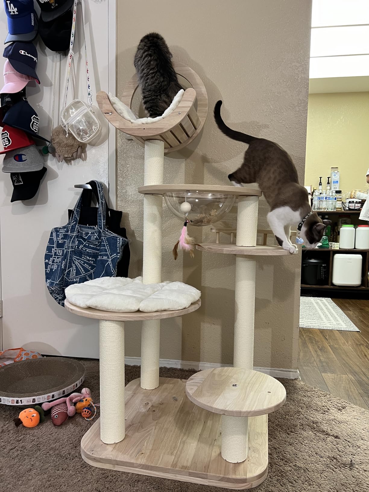 Customer Photos