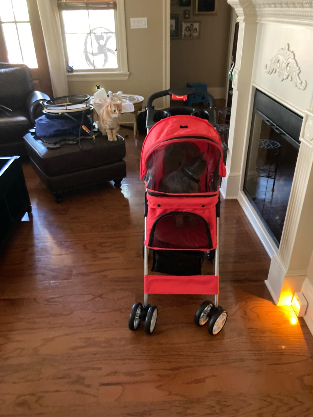 Customer Photos