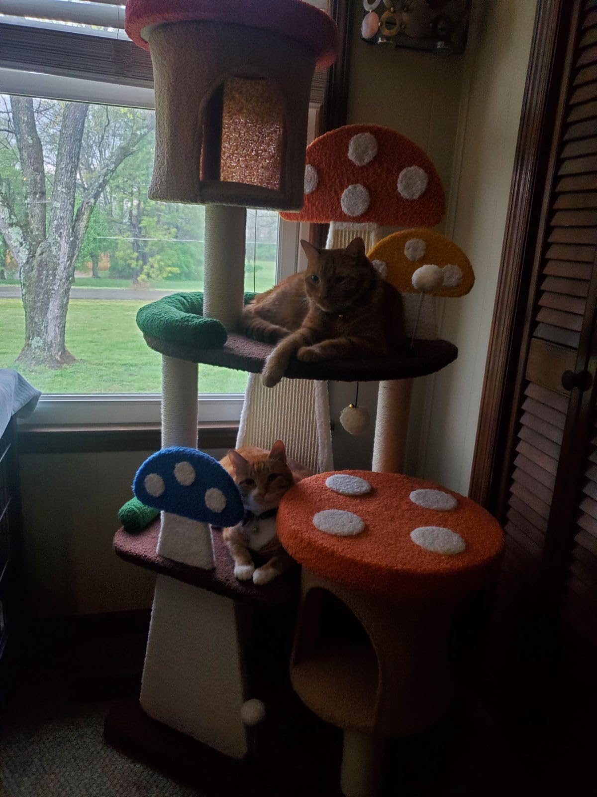 Customer Photos