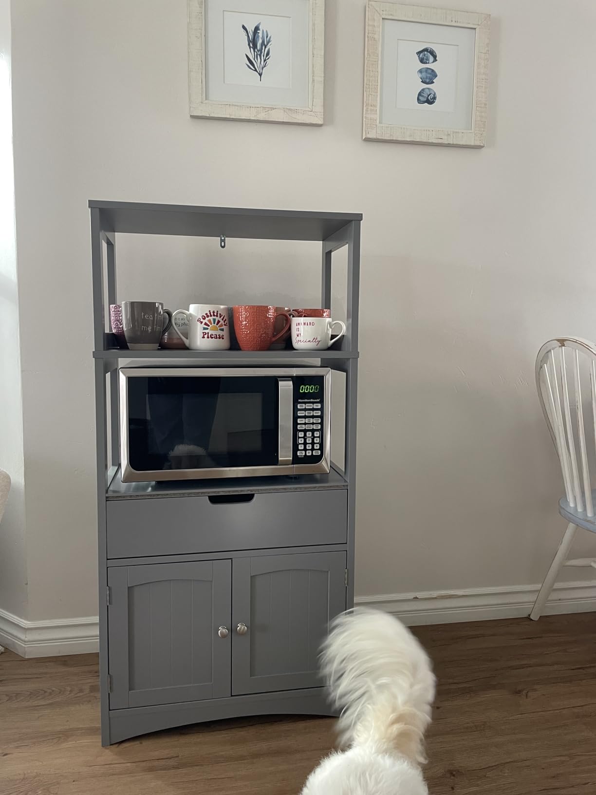 Customer Photos