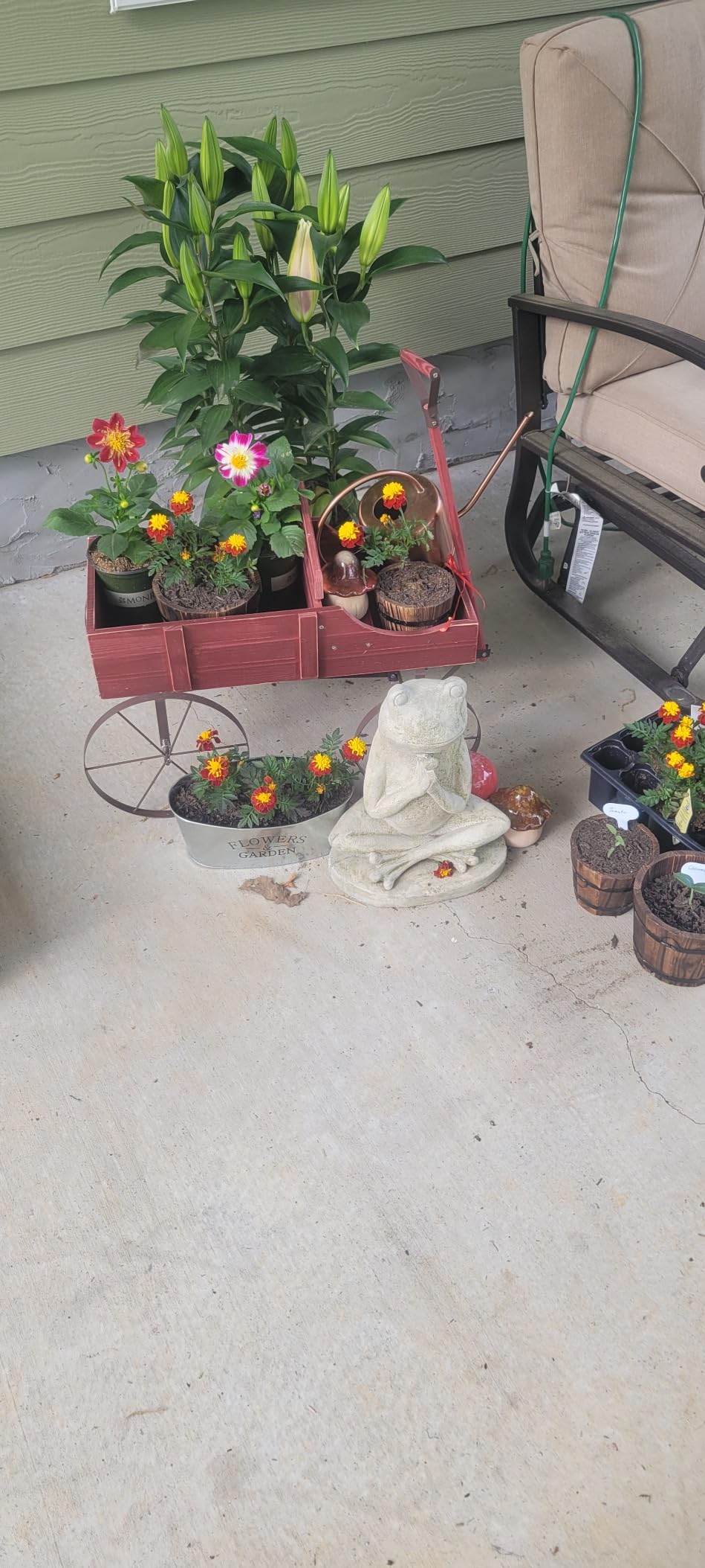Customer Photos