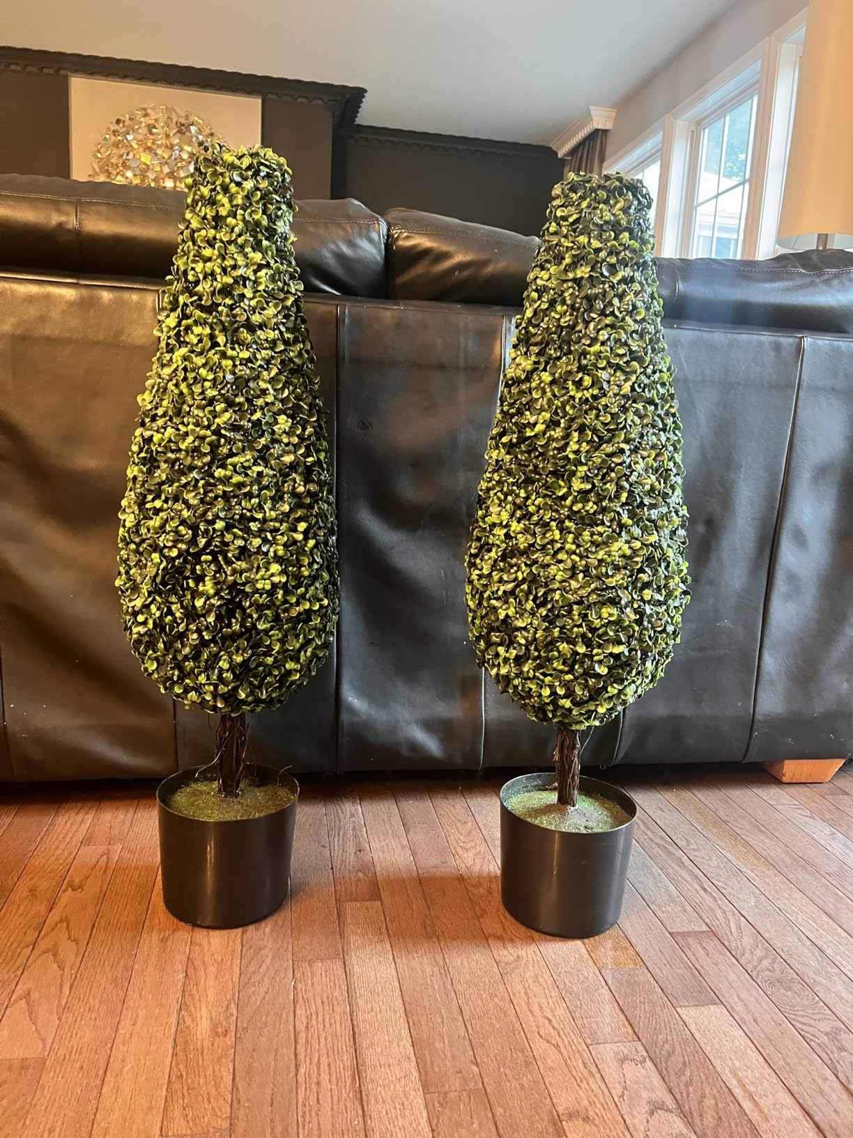 Customer Photos
