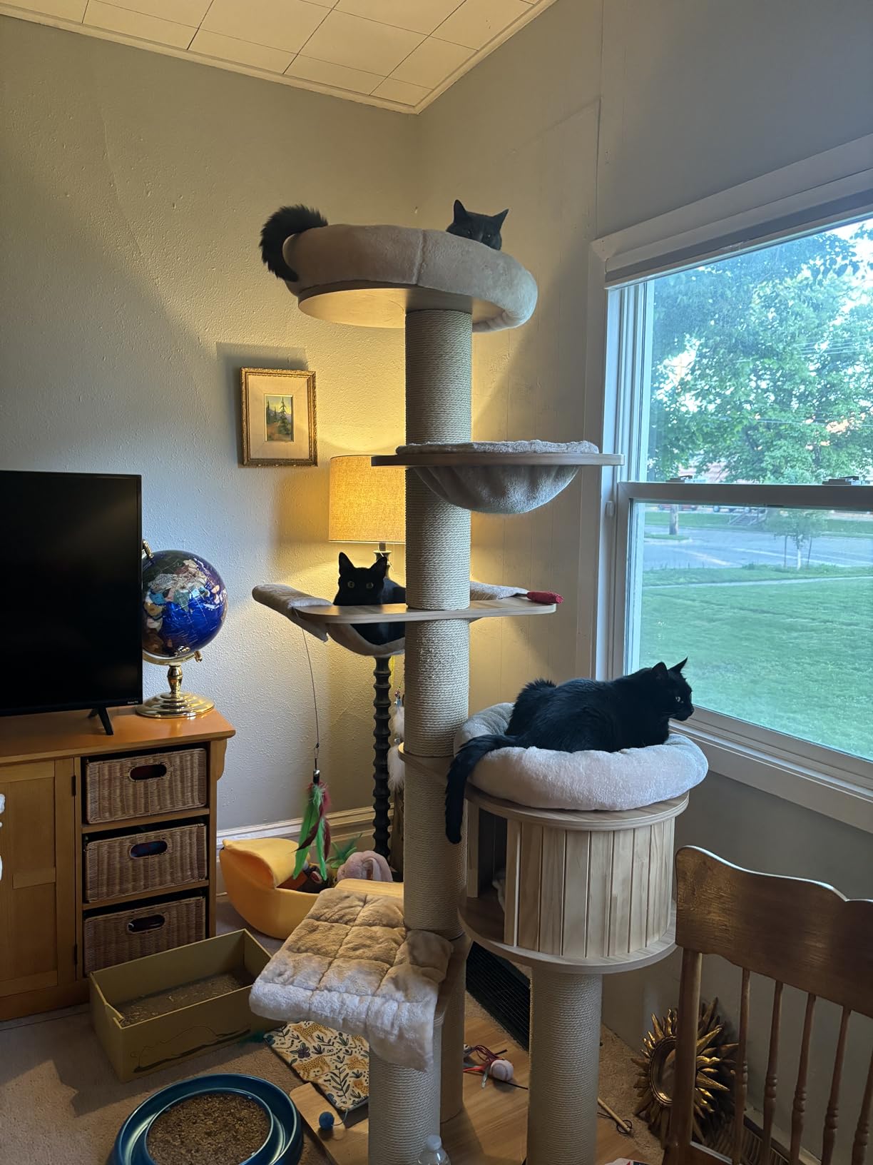 Customer Photos