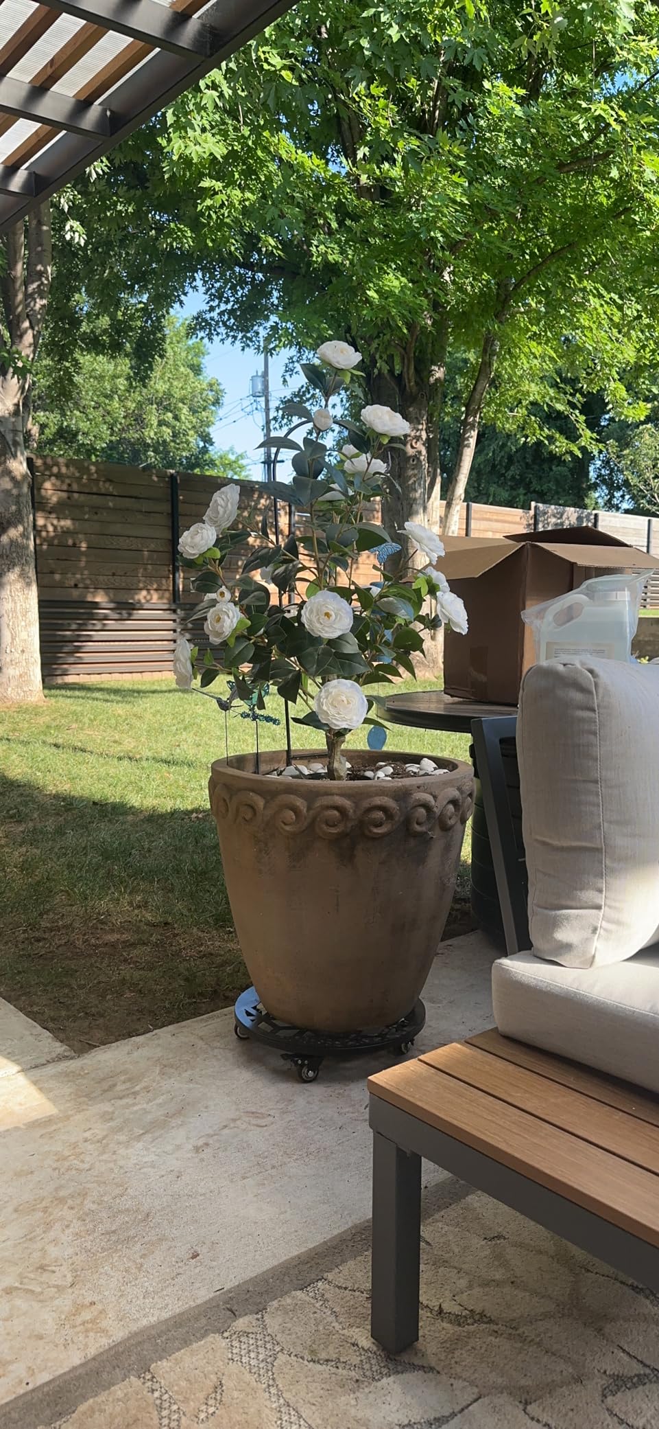 Customer Photos