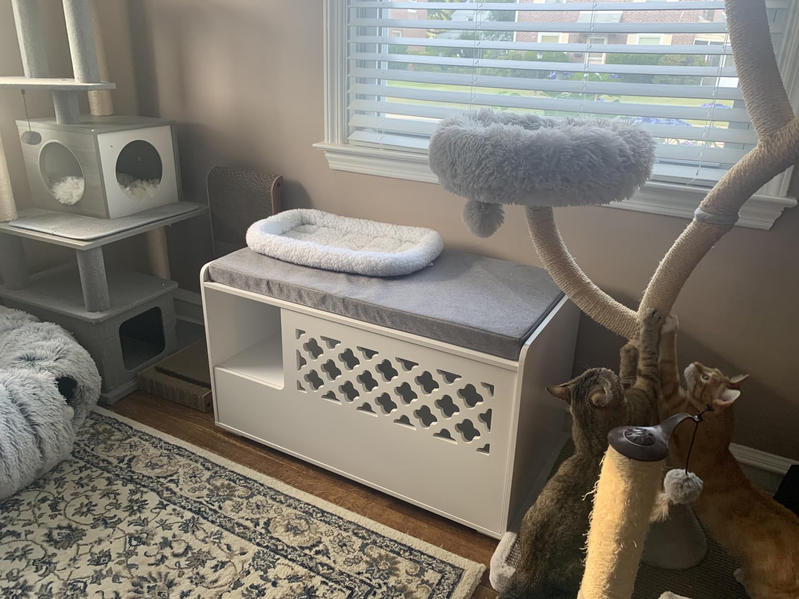 Customer Photos