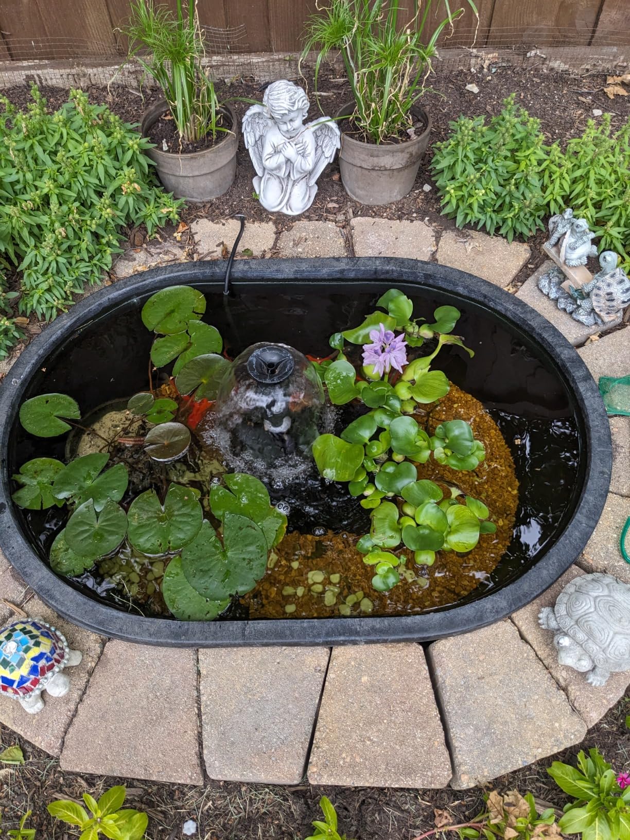 Customer Photos