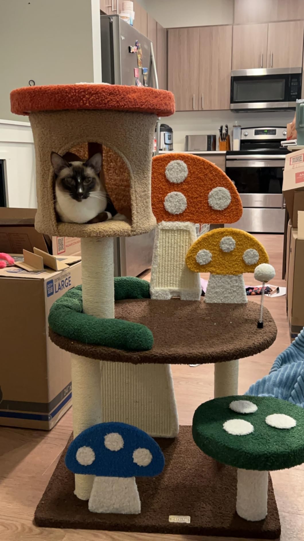 Customer Photos