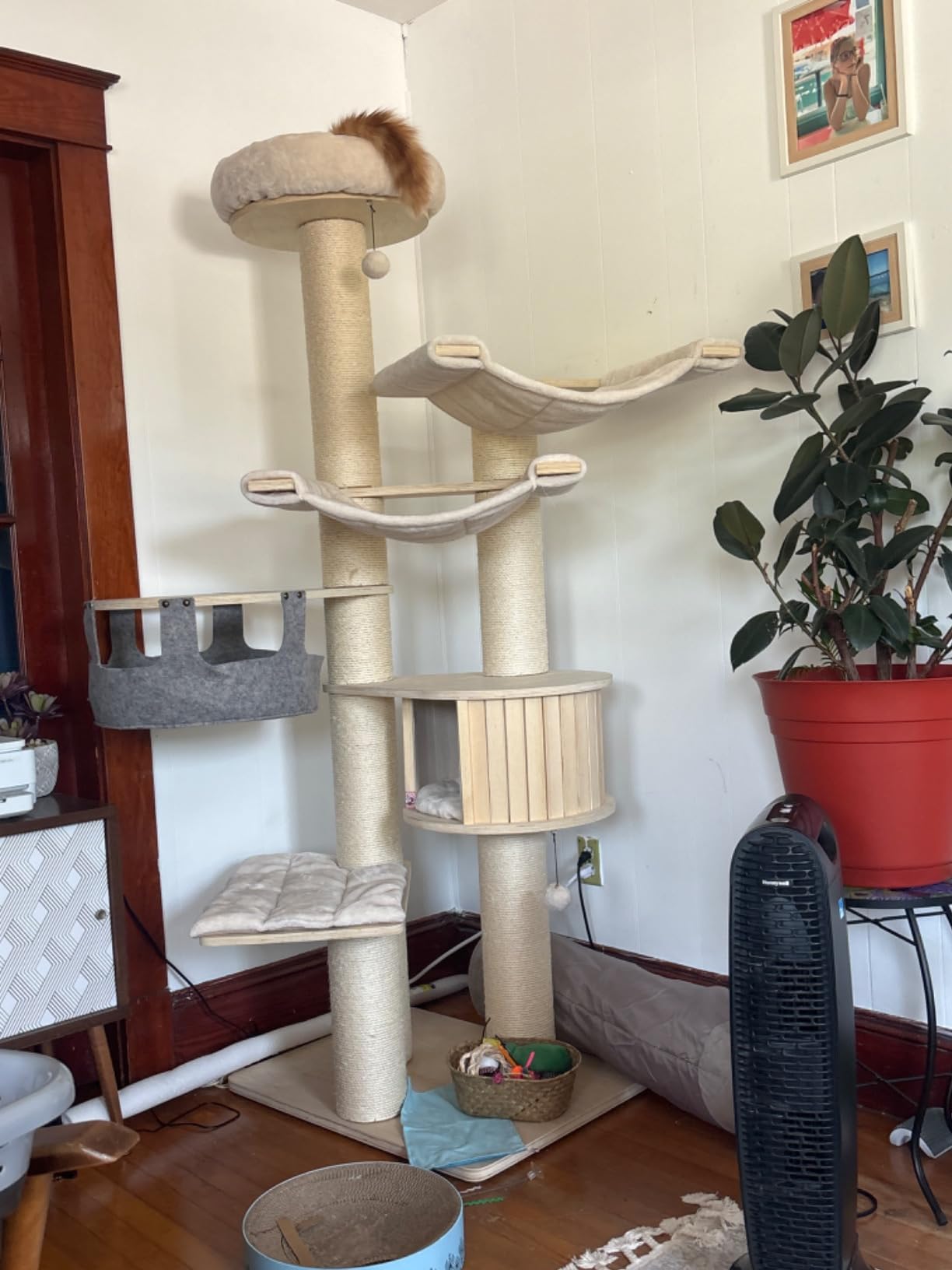 Customer Photos