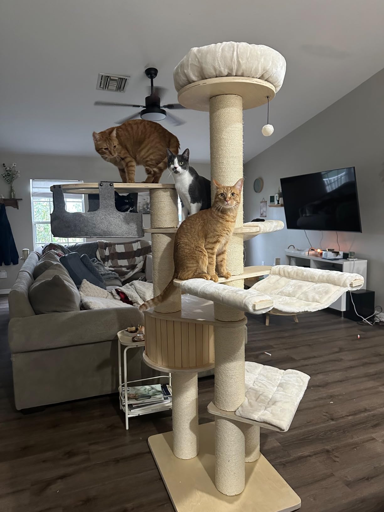 Customer Photos
