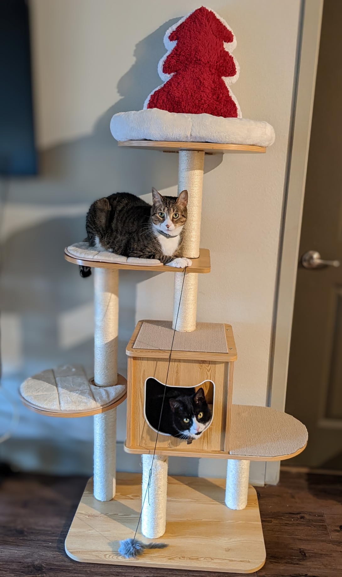 Customer Photos